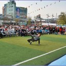 성호초등학교 이미지