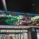 롯데캐슬에코 북카페 | 마곡 원그로브 교보문고 방문후기