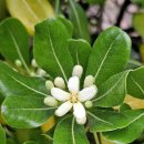 곡성-025 이미지