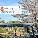 사천그라운드골프장 | 사천 공군 체력단련장 공군부대 골프장 그린피와 벚꽃라운딩