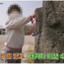 제주소풍가자 이미지