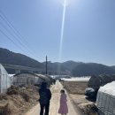 혜자농장 이미지