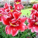 고서초등학교 이미지