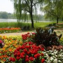 함안 생태공원서 &#39;청보리·작약 축제&#39; 즐겨요…10∼12일 개최 이미지