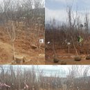 파주시산림조합 이미지