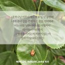 * 하나님을 오해하지 마십시오! - 조태성 이미지