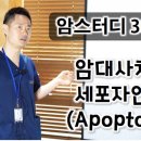스터디30