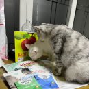 [공지] [대전 동구] 동네방네 알리고픈 🌟잇츠마미👩🏻‍🍼산모교실🌟 방문 후기(+협력업체 상담기)