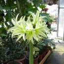 그린에버 이미지