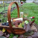 소성농장 이미지