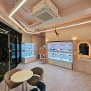 몽냥몽냥 강아지분양 일산점 이미지