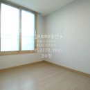 토운모닝톤 이미지