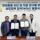24시 스탠다드 동물의료센터 네이버블로그