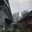 하이트장