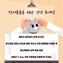 래이동물의료센터 이미지
