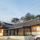 똥강아지애견방