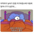 씨티티엘 | [블챌] 재미난 하루