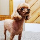 흥해목욕탕 이미지