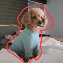 산내주유소 이미지