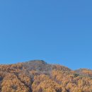 원통 시외버스터미널 이미지