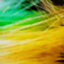 부천시립합창단 사연이 있는 음악회 YOU 사연 | 오페라낙서258.Mascagni의opera.친구 프리츠 중 2막의 이중창 수젤, 좋은 아침이오.ten. Luciano...