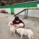 백순농장 이미지