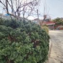 완산-17 이미지