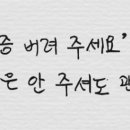 세무법인솔영종지사