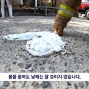 잔인무도한 JTBC 뉴스 제작진 근황 이미지