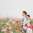 바라봄대구