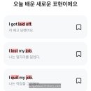 젤리English