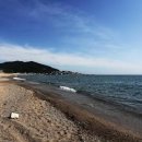 장사해수욕장 이미지