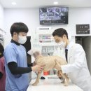 위더스메디칼 | 마천역 동물병원 병원 정착을 못하시는 보호자님, 적어도 3가지는 체크해 보세요
