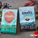 디비에스 주식회사 이미지