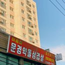 영분야채