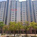 초록나무치과의원 이미지