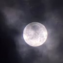 4 ☆ 내 천사🐰🩷 이미지