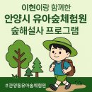 안양시청어린이집 | 안양시 동안구 유아숲체험원 숲해설 프로그램 솔직후기