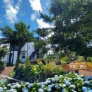 산호수별펜션 | 자연환경해설사의 다랑쉬오름 해설