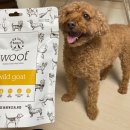 레오네식탁 이미지