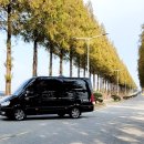 엠제이렌트카㈜(모든) 이미지