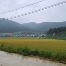 서부해안로(안치) 이미지