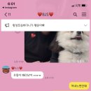 비제이에스
