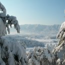 모산봉