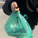 강릉제일솔라 1호 | 강원도 강릉 여행 사천해변 수산시장 자연산 광어회 포장 가격 내돈내산 [자연산수산물직판장]