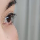 피자스쿨(퇴계금호타운점) | 춘천 속눈썹펌 잘하는곳 퇴계동 매치브로우 후기