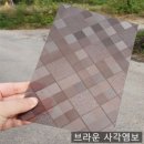 제주캐노픽스