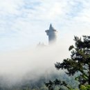 한반도행정사사무소 네이버블로그