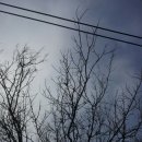 뽕나무집 이미지