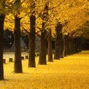 연못들2 이미지